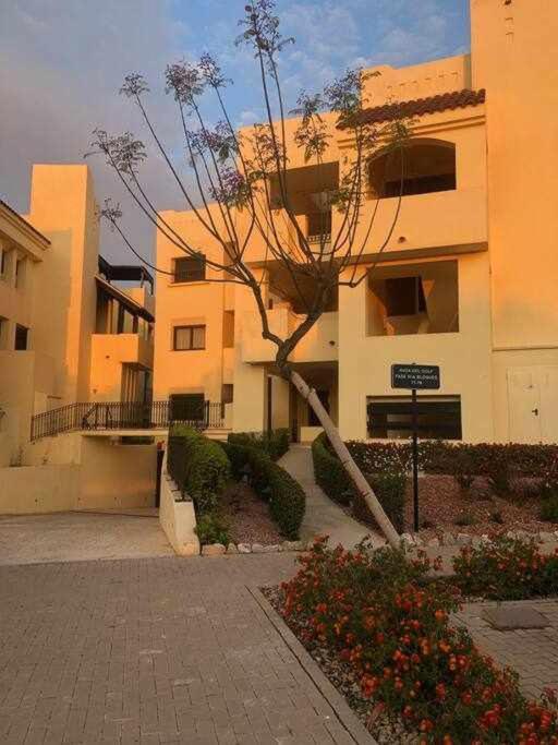 Casa Palmera San Javier Dış mekan fotoğraf